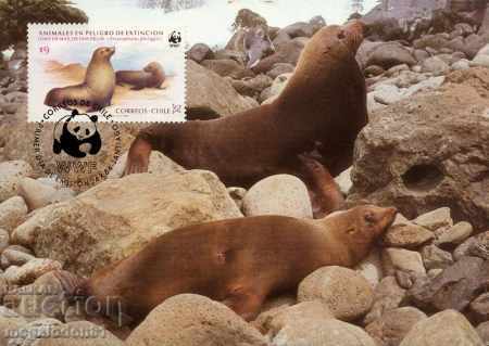 WWF комплект карти максимум Чили - фауна 1983