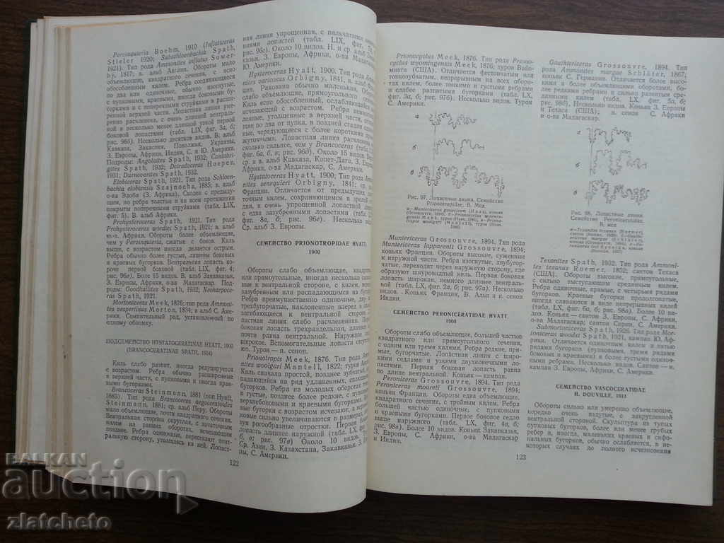 Δημοπρασία Βασικές αρχές της Παλαιοντολογίας σε 15 τόμους. Τόμος 6 Δημοπρασία Βασικές αρχές της Παλαιοντολογίας σε 15 τόμους. Τόμος 6