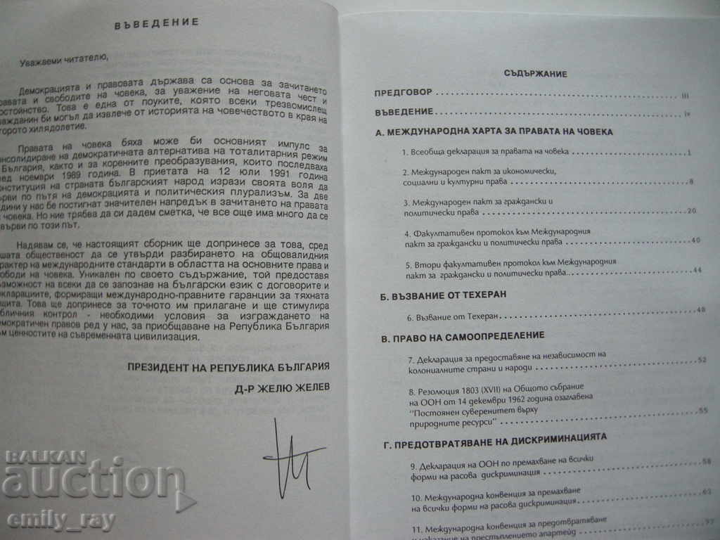 Auction  HUMAN RIGHTS