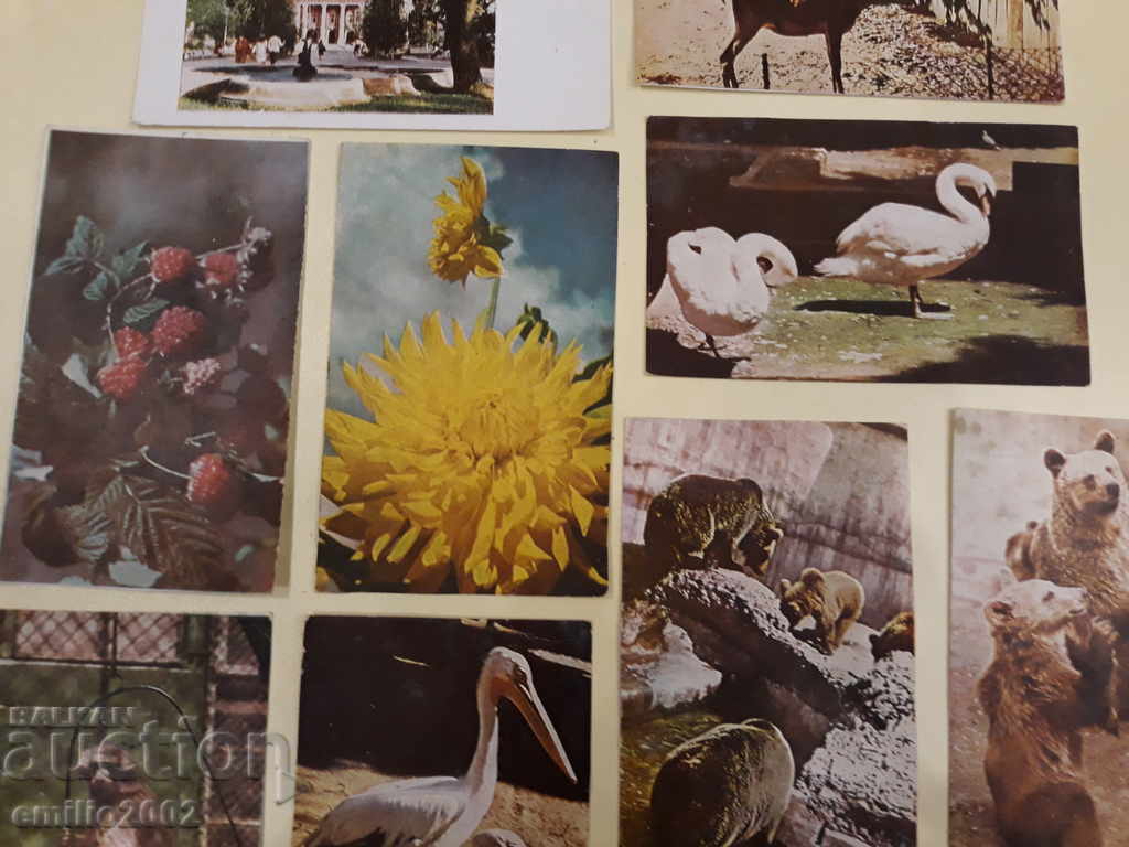 Auction Post cards BG Loft Lot 032 Auction Post cards BG Loft Lot 032