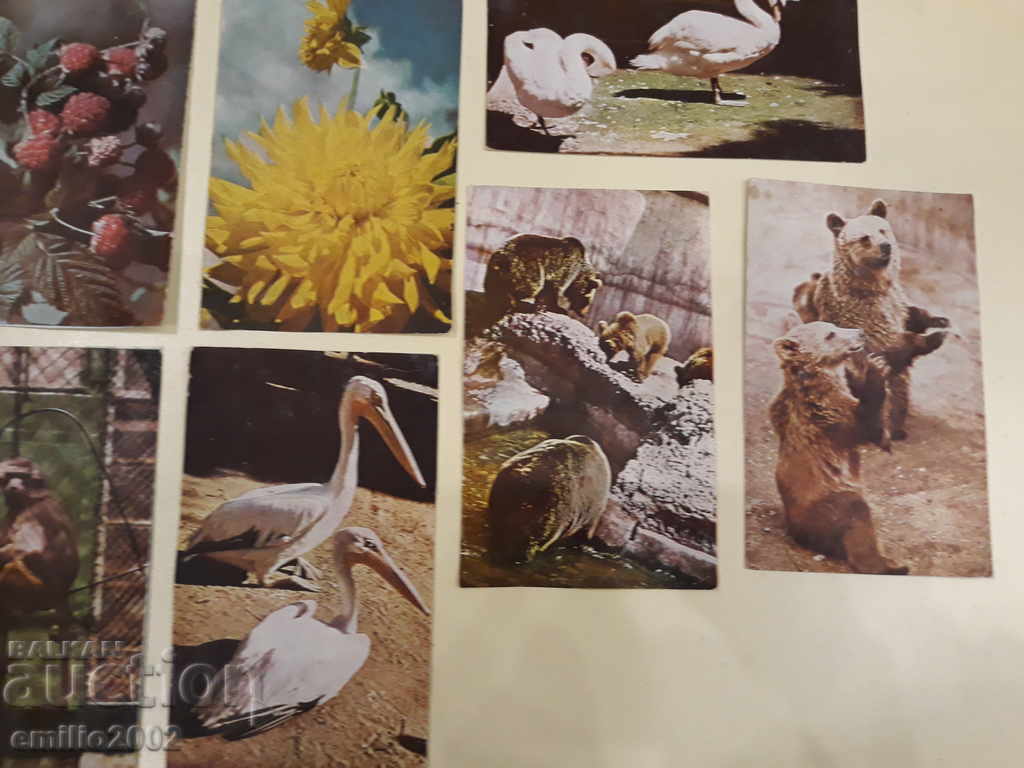 Delivery of Post cards BG Loft Lot 032 Delivery of Post cards BG Loft Lot 032