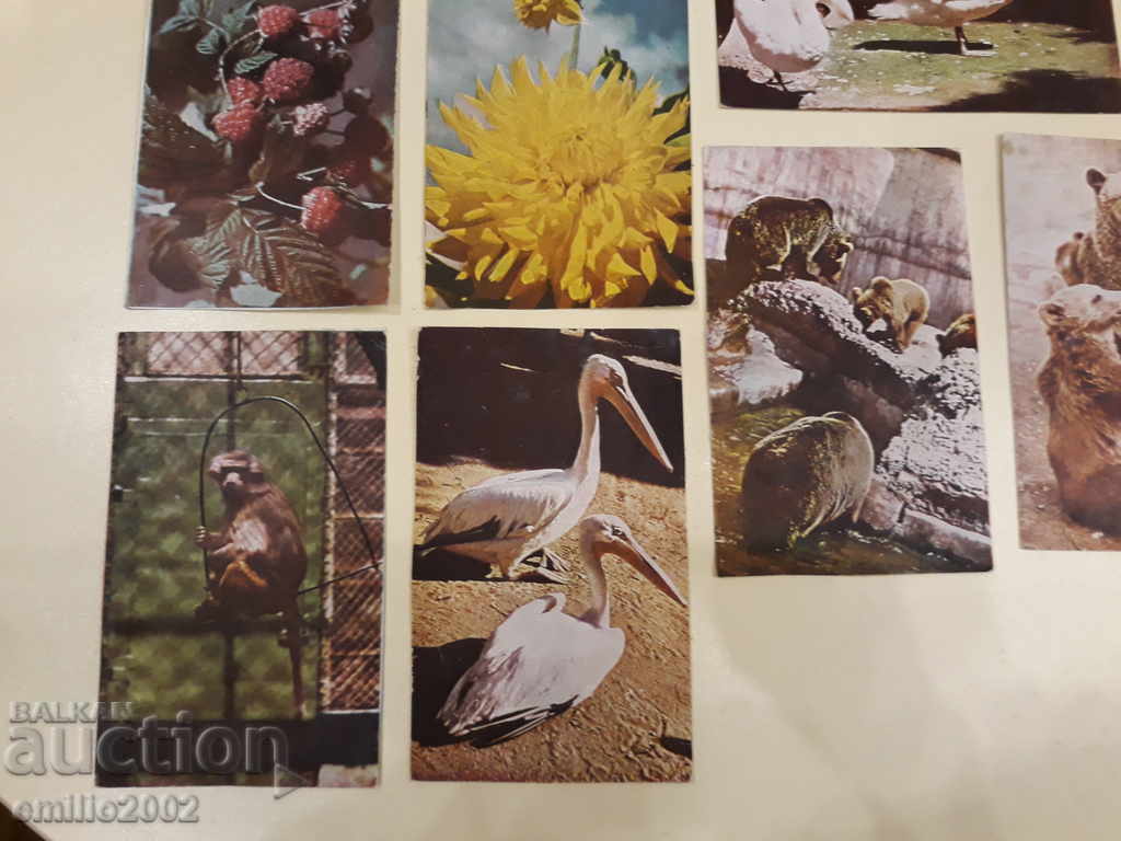 Post cards BG Loft Lot 032 - 5 Post cards BG Loft Lot 032 - 5