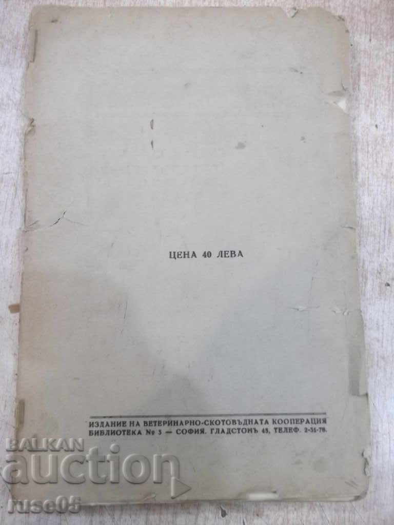 Book "Bee-Beer Growing Guide" -180p - 6 Book "Bee-Beer Growing Guide" -180p - 6