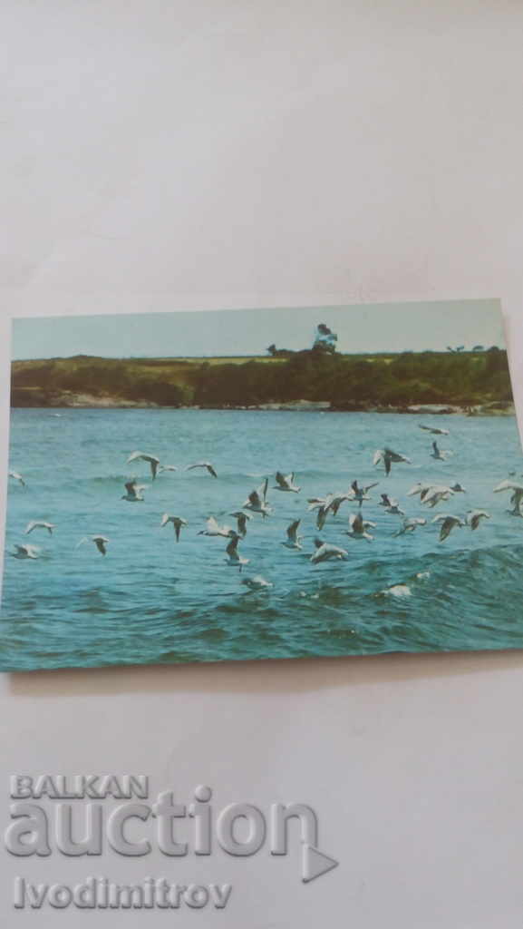 Postcard Black Sea Coast 1989