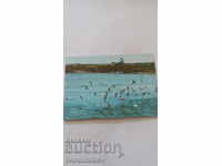 Καρτ ποστάλ Μαύρη Θάλασσα 1989