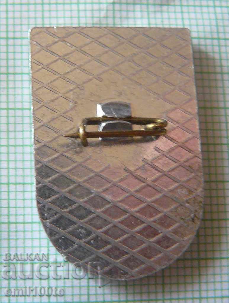 Delivery of Badge - Regional Council of BFSS Vratsa Delivery of Badge - Regional Council of BFSS Vratsa