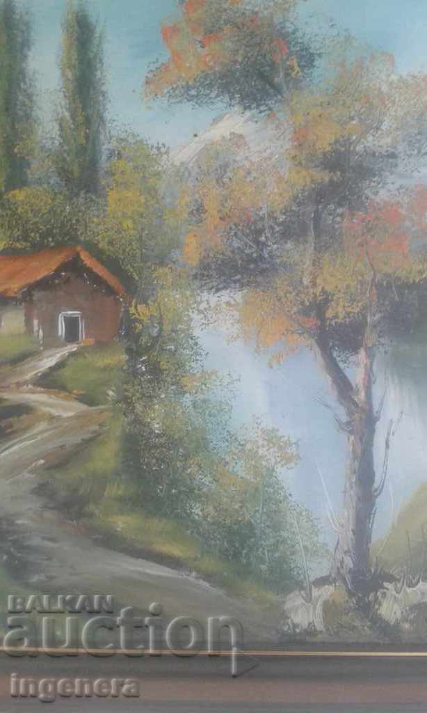 Picture with price 149.00 BGN | € 76.18