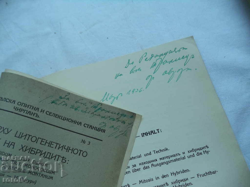 Auction CONTRIBUTION TO CYTOGENETIC STUDIES ON HYBRIDS Auction CONTRIBUTION TO CYTOGENETIC STUDIES ON HYBRIDS