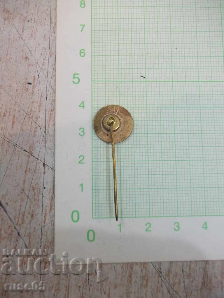 Badge "STINTA - BACAU" with price 5.00 BGN | € 2.56 Badge "STINTA - BACAU" with price 5.00 BGN | € 2.56