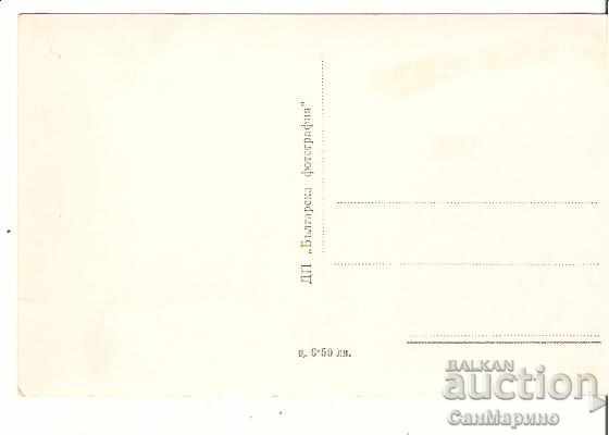 Map Bulgaria Velingrad View from Ljudjene quarter * with price 1.90 BGN | € 0.97