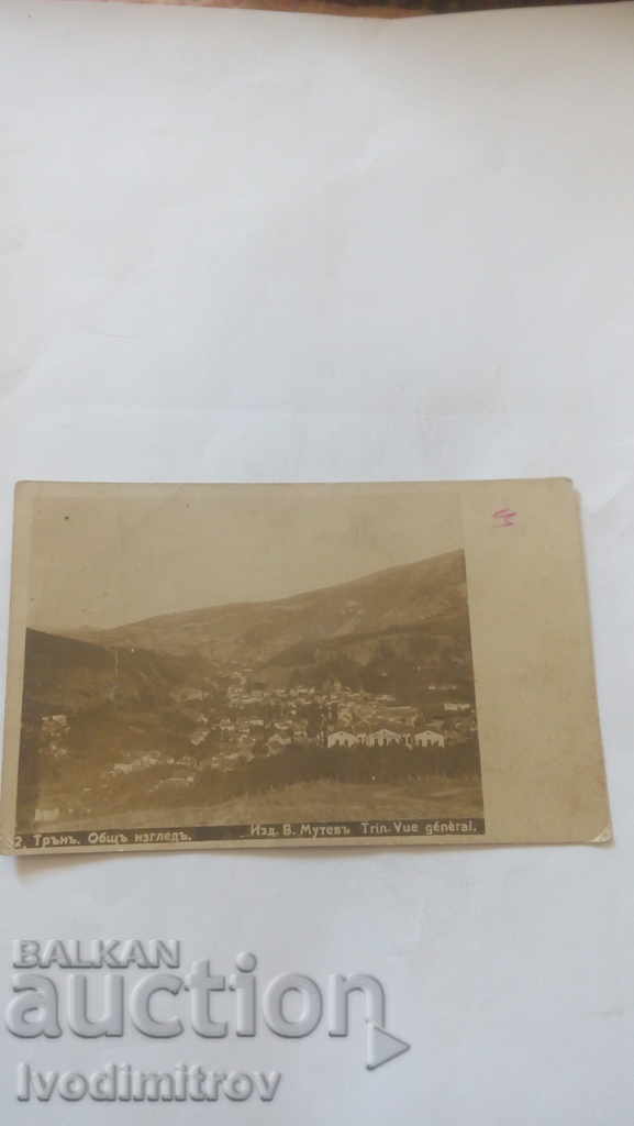 Carte poștală Trunas Prezentare generală 1928