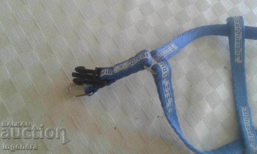 Curea, catarama, pieptene pentru un câine cu preț 1.10 BGN | € 0.56