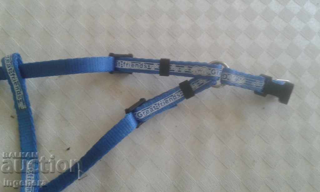 Licitație Curea, catarama, pieptene pentru un câine