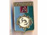 Pushkin badge