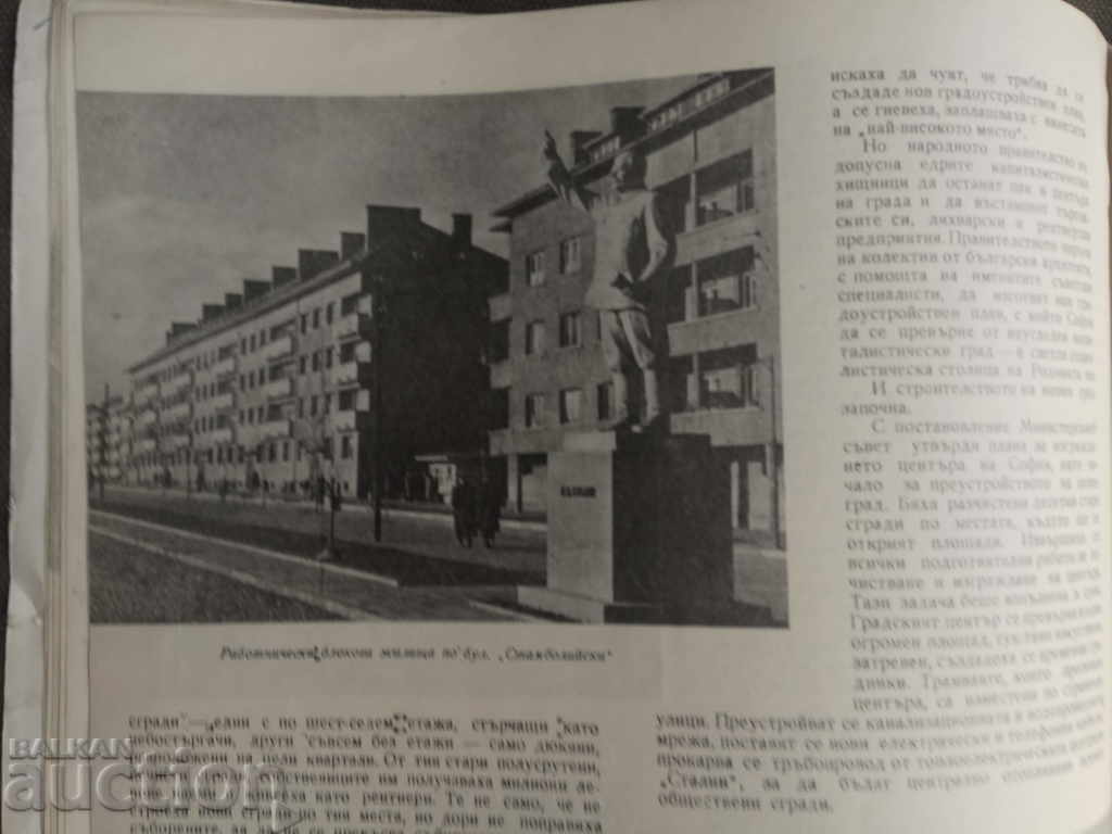 10 years free Sofia - 5 10 years free Sofia - 5