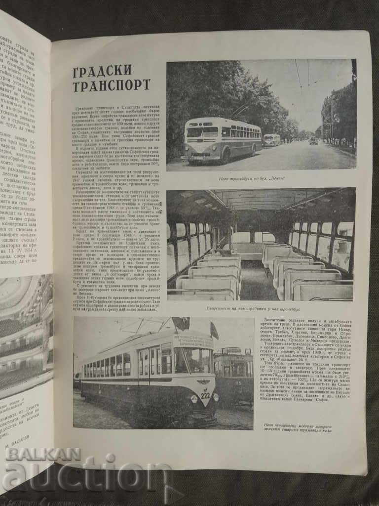 10 years free Sofia - 6 10 years free Sofia - 6