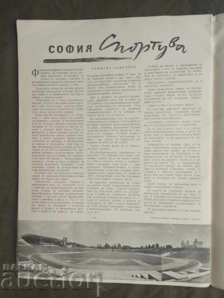 10 years free Sofia - 7 10 years free Sofia - 7