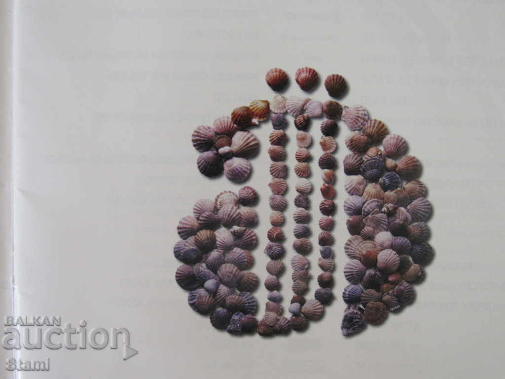 Apolonia Program 2005 - 7 Apolonia Program 2005 - 7