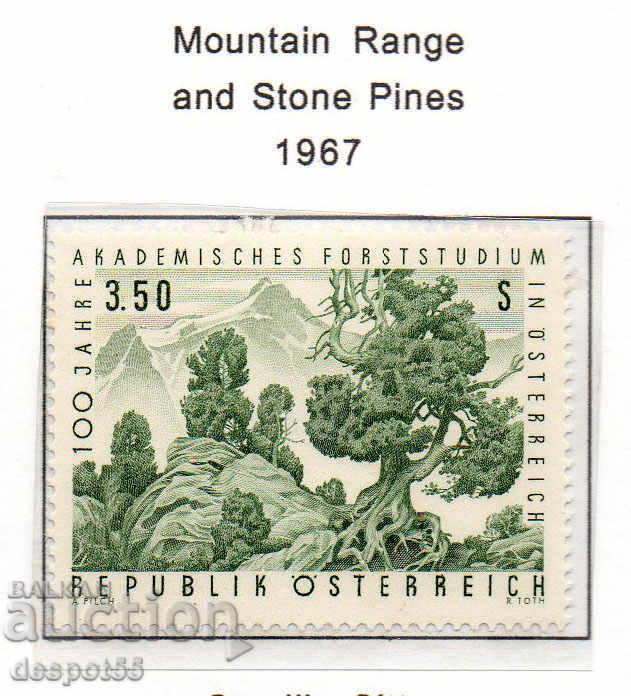 1967. Αυστρία. Ακαδημαϊκές δασικές μελέτες στην Αυστρία.