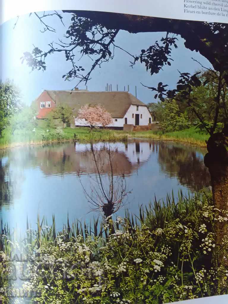 Delivery of Holland - a multilingual album Delivery of Holland - a multilingual album