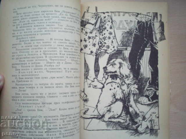 WHITE BIM, BLACK CROWN - GAVRIL TROEPOLSKI - 5