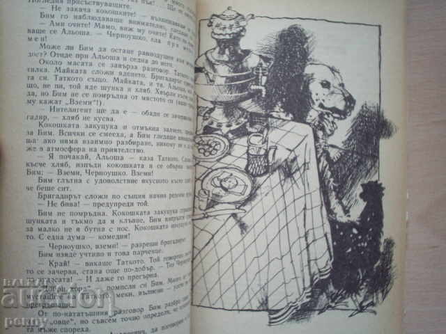 WHITE BIM, BLACK CROWN - GAVRIL TROEPOLSKI - 7