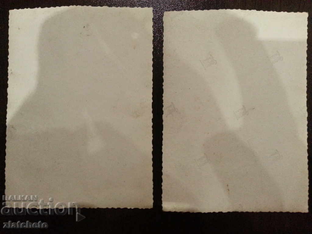 Auction  2 Old pictures. Sokol