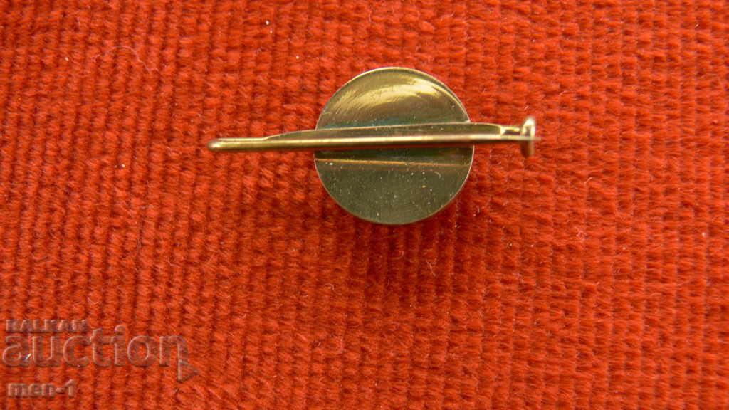 Brooch with a camel with price 15.00 BGN | € 7.67 Brooch with a camel with price 15.00 BGN | € 7.67