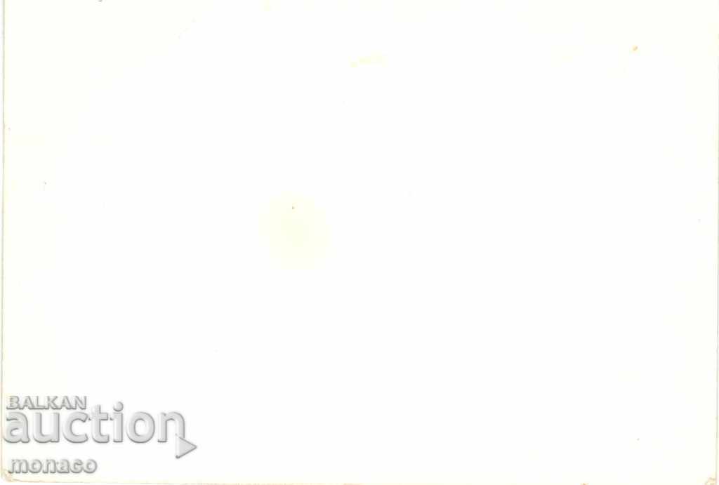 Old card - village of Iskrets, sanatorium with price 2.00 BGN | € 1.02 Old card - village of Iskrets, sanatorium with price 2.00 BGN | € 1.02