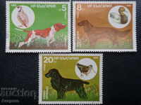 Lot Bulgaria 1985 - "Câini de vânătoare", 5, 8 și 20 st.
