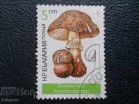 Bulgaria 1987 - "Mushroom Sponge", 5 sts.