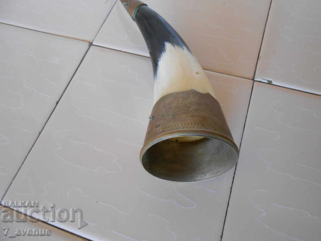 Κέρατο, φυσικό κόκκαλο, χάλκινο, παλιό πράγμα DjvK - 5 Κέρατο, φυσικό κόκκαλο, χάλκινο, παλιό πράγμα DjvK - 5