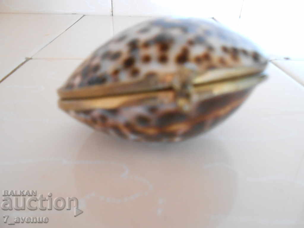 Old interesting seashell-like wallet with price 99.00 BGN | € 50.62 Old interesting seashell-like wallet with price 99.00 BGN | € 50.62