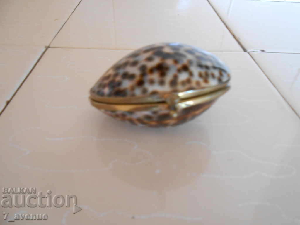 Auction Old interesting seashell-like wallet Auction Old interesting seashell-like wallet