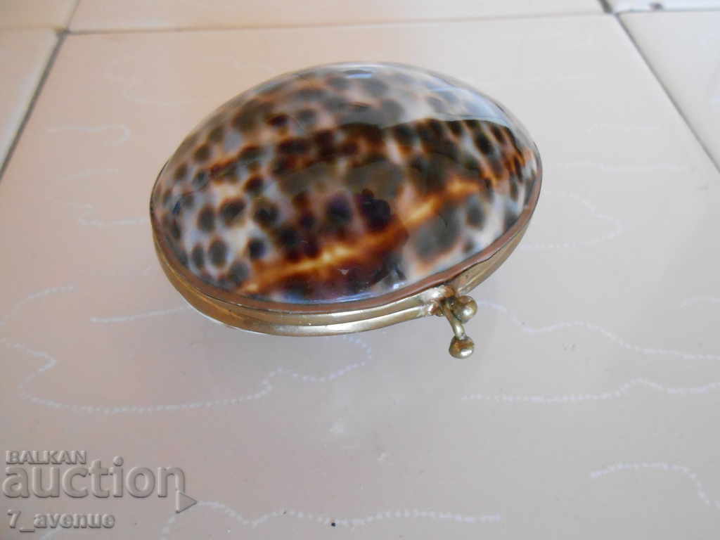 Old interesting seashell-like wallet - 5 Old interesting seashell-like wallet - 5