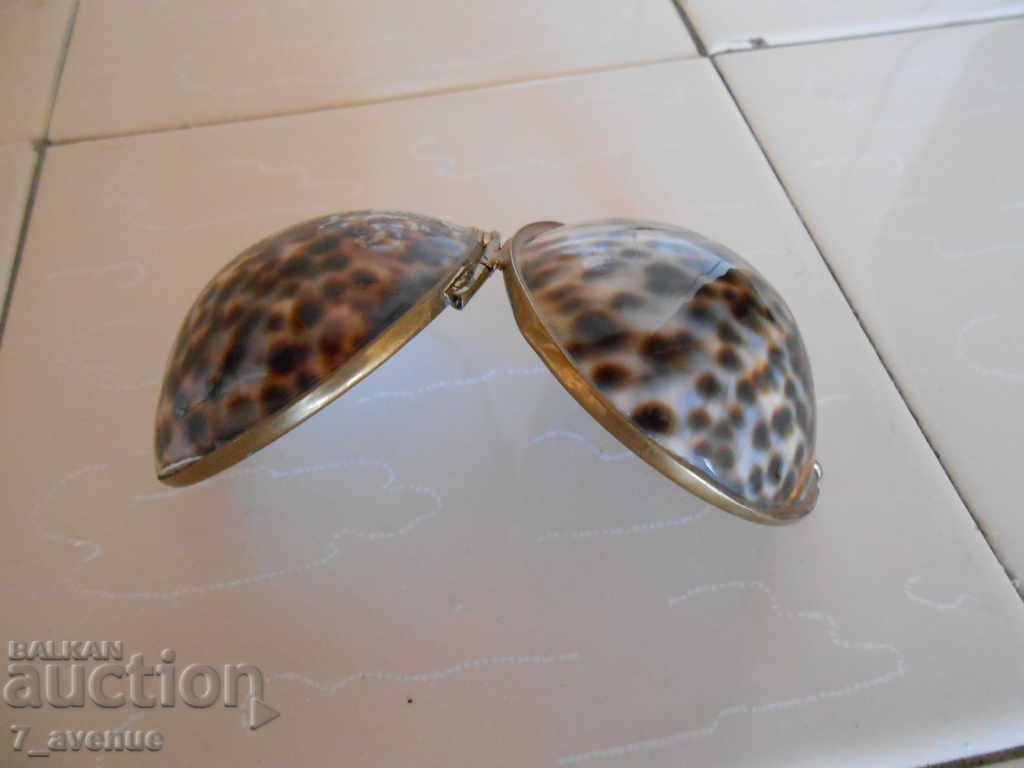 Old interesting seashell-like wallet - 7 Old interesting seashell-like wallet - 7