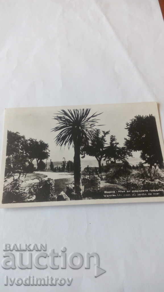 Пощенска картичка Варна Кът от Морската градина