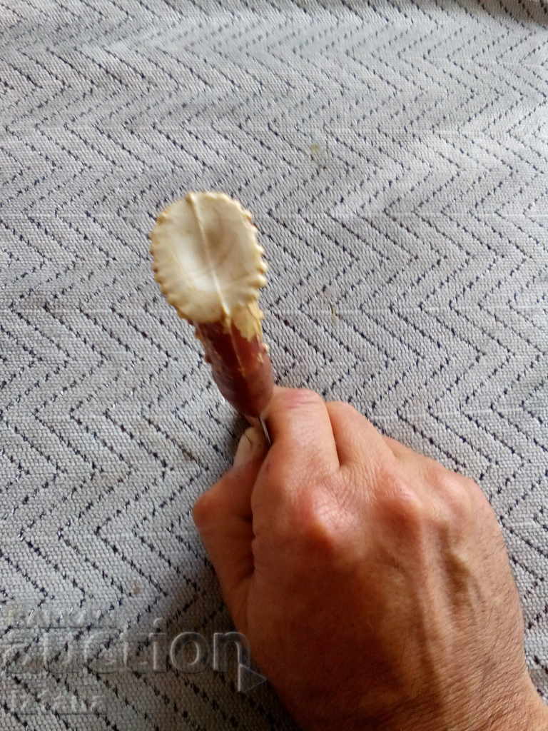 An old knife, a knife, a knife - 6 An old knife, a knife, a knife - 6