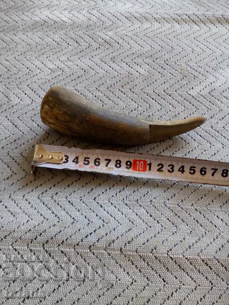 Δημοπρασία παλιά κόρνα