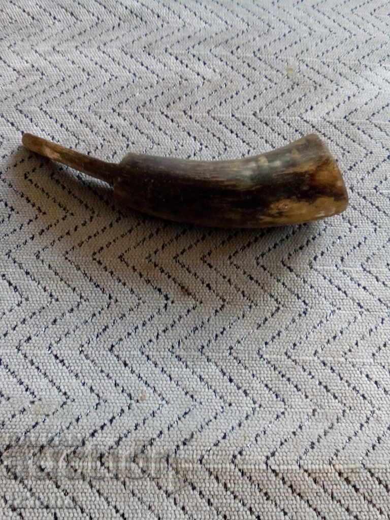 An old horn