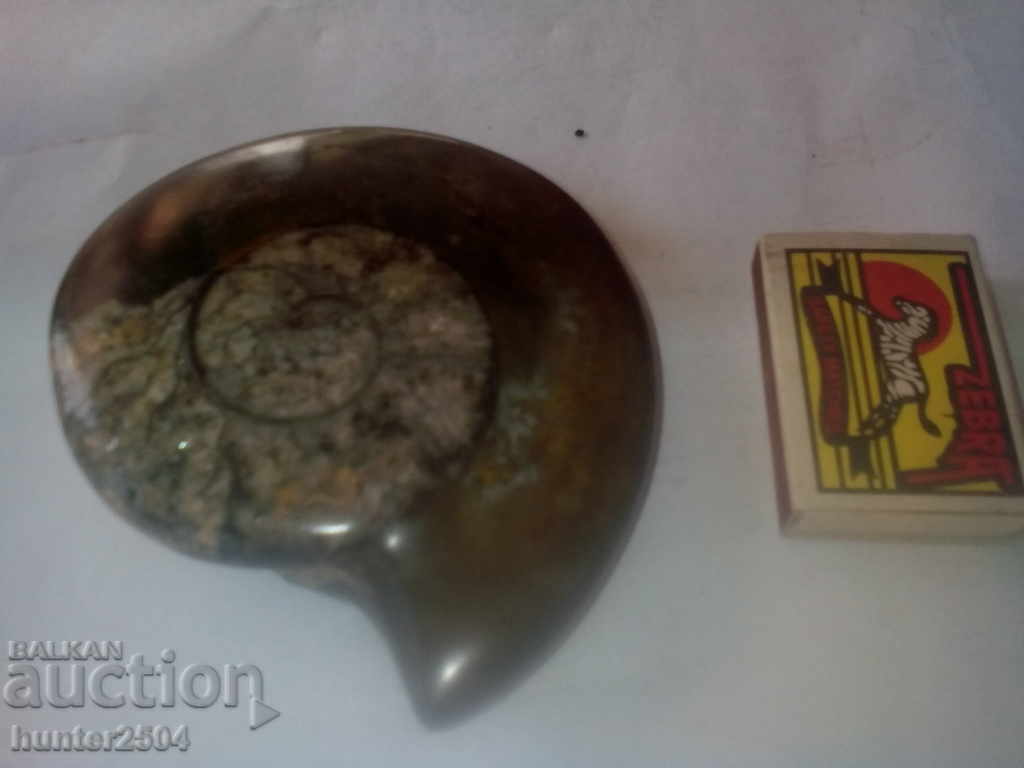 Вкаменелост "амонит" разм. диям.110мм, великолепен. с цена 44.95 лв. | € 22.98 Вкаменелост "амонит" разм. диям.110мм, великолепен. с цена 44.95 лв. | € 22.98