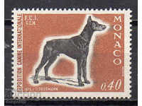 1970. Монако. Международно кучешко шоу, Монте Карло.