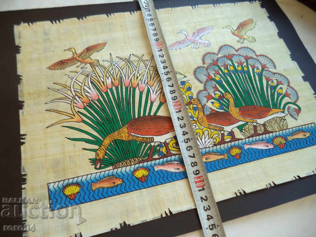 ΠΑΠΙΡΟΥΣ - ΑΙΓΥΠΤΟΣ - 5