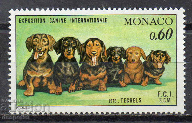1976. Monaco. International Dog Show, Monte Carlo.