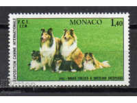 1981. Monaco. International Dog Show, Monte Carlo.