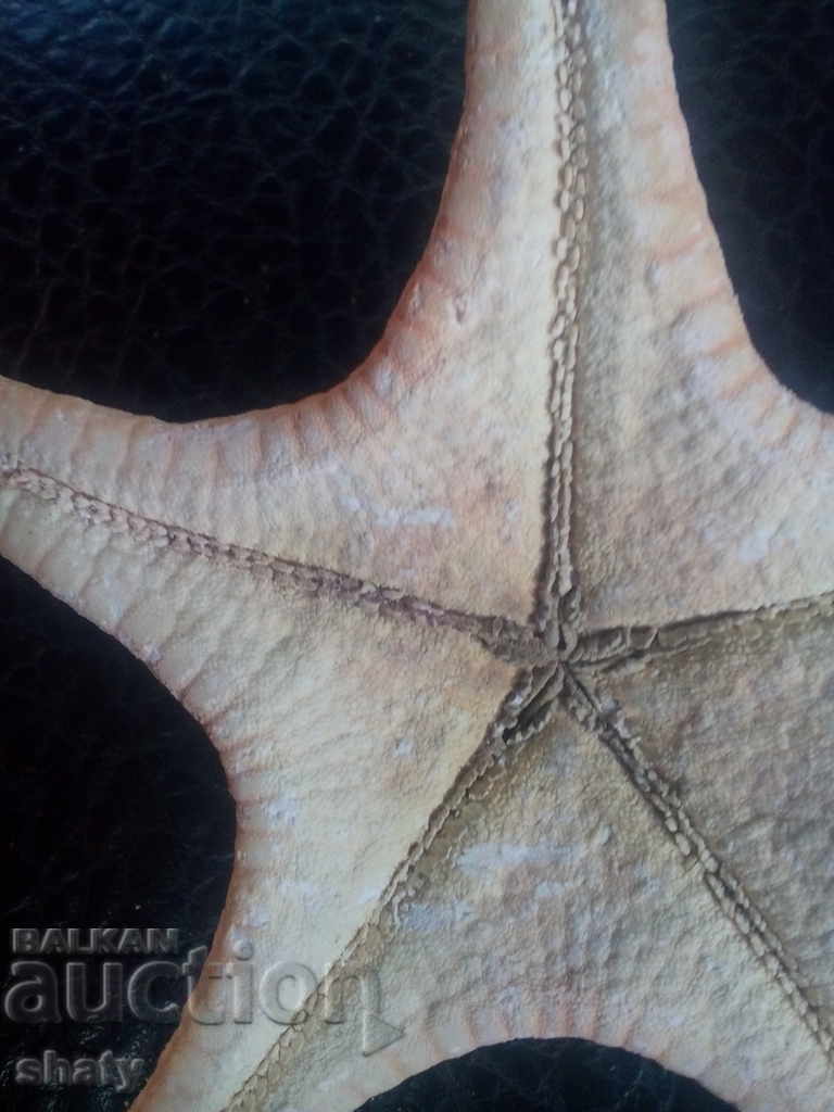 Παράδοση αστερίας Παράδοση αστερίας