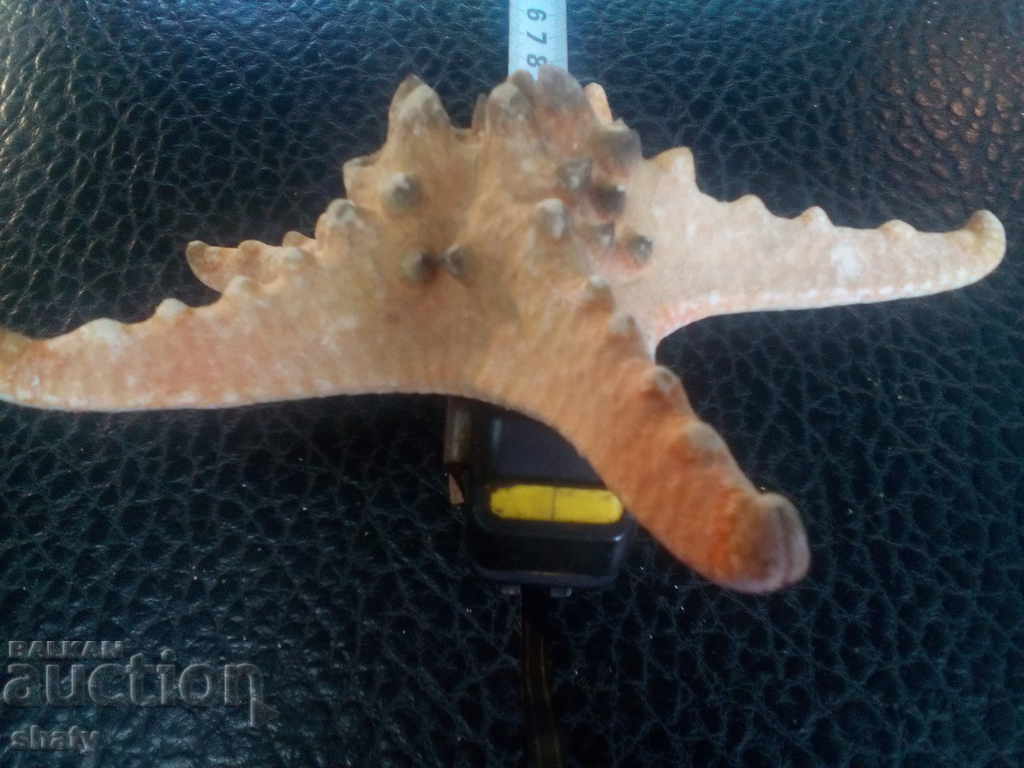 αστερίας - 5 αστερίας - 5