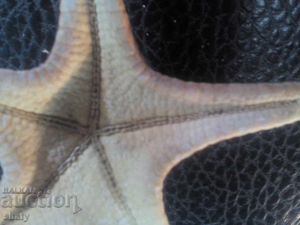 Delivery of Starfish Delivery of Starfish