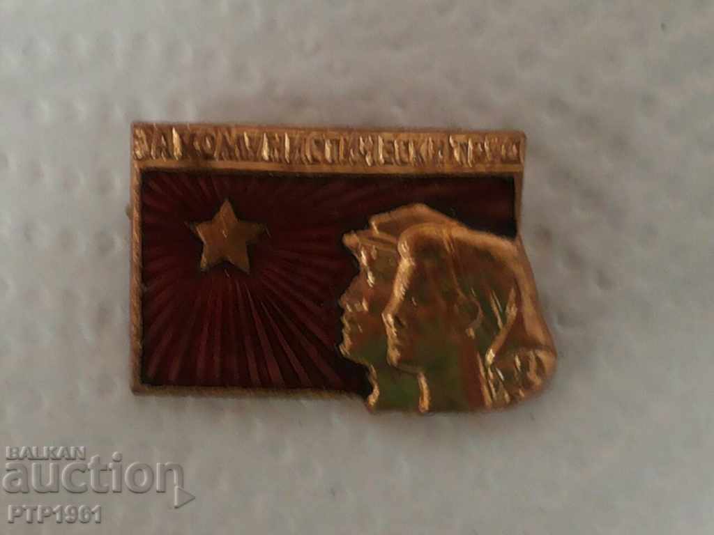 party badge party badge