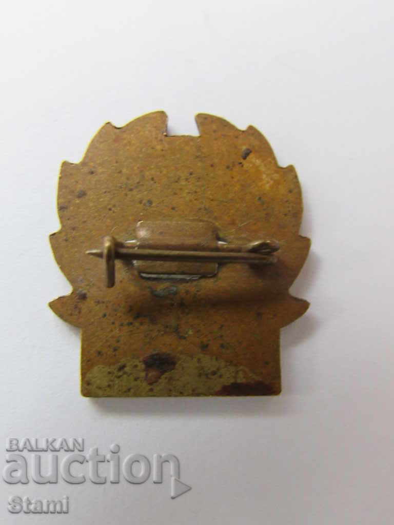 Auction Badge: IFJUSAGI, Hungary Auction Badge: IFJUSAGI, Hungary